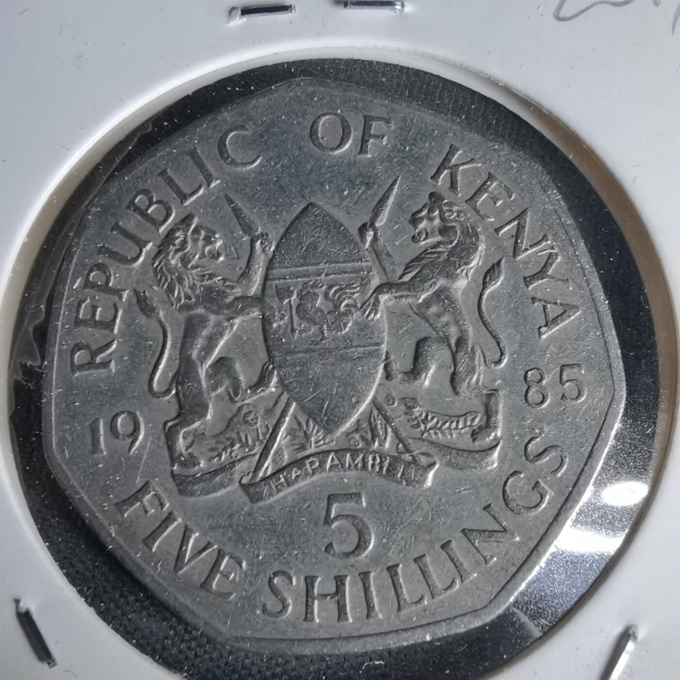 沼泽如烟--第1020场