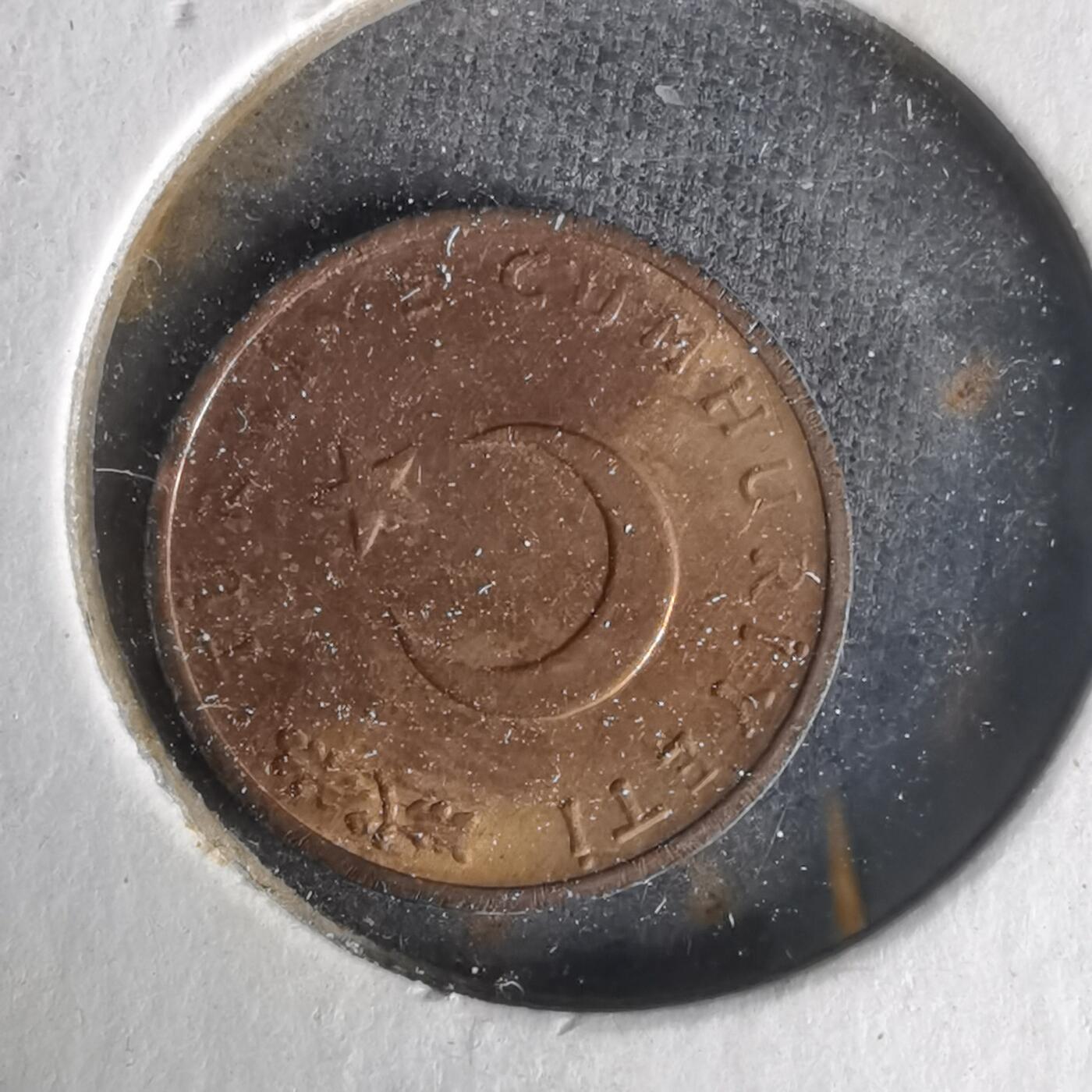 沼泽如烟--第1021场