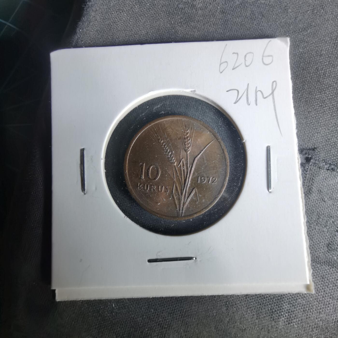 沼泽如烟--第1021场