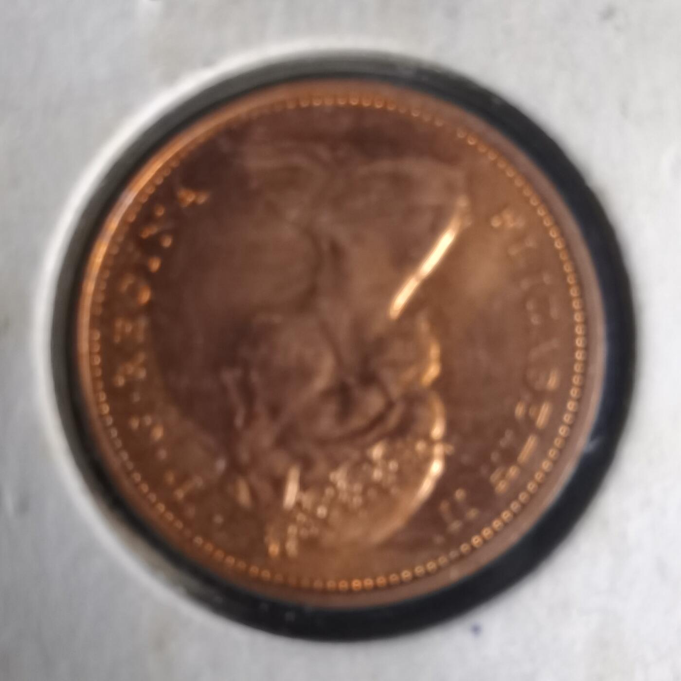 沼泽如烟--第1021场