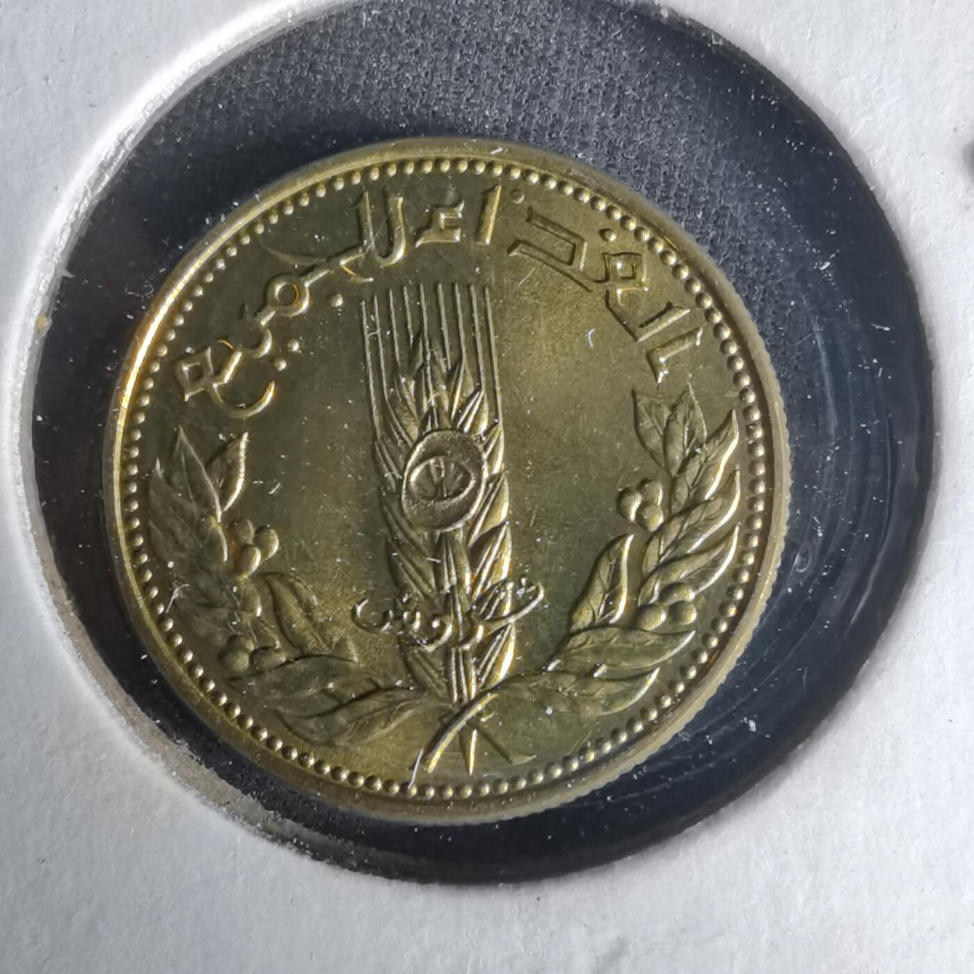 沼泽如烟--第1021场 叙利亚