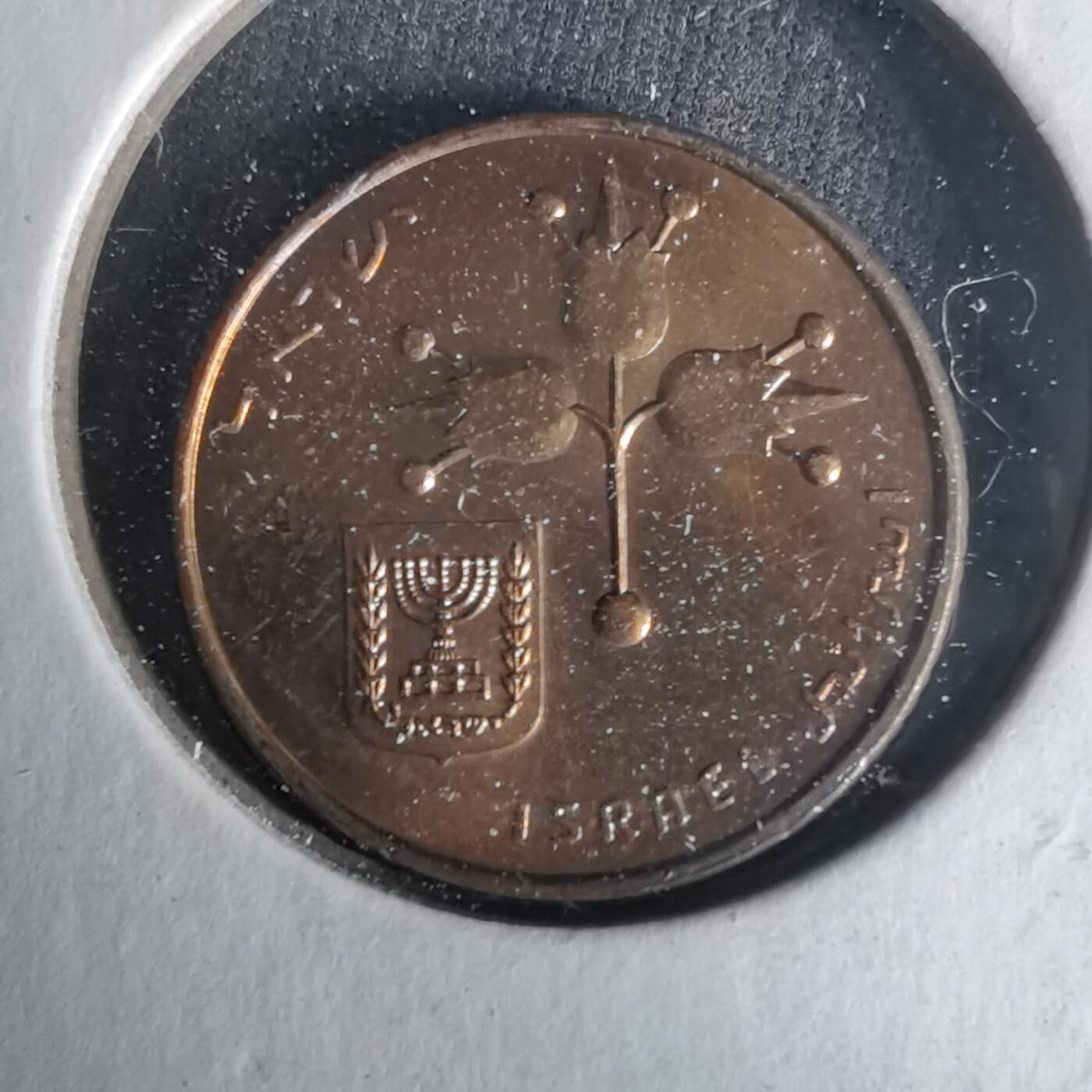 沼泽如烟--第1021场