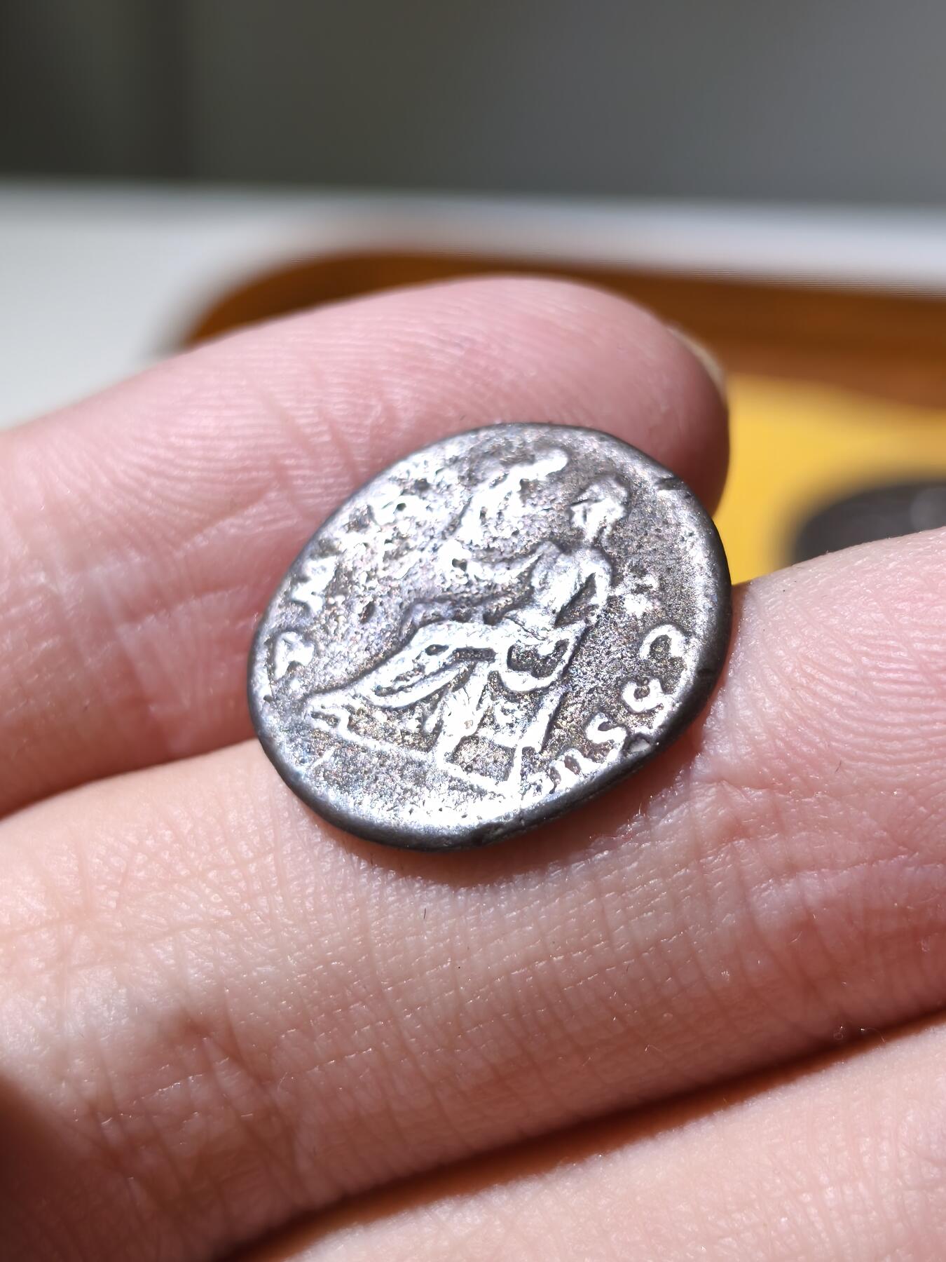 星盘世界钱币拍卖