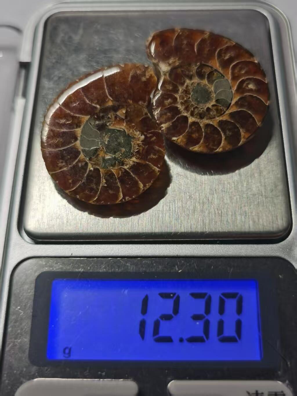 七河·世界币章水晶矿标化石杂件小拍（总第42期）（周一结标） 藏家出品X796（8）马达加斯加中生代菊石化石对开品 本件拍品由合作藏家负责邮寄