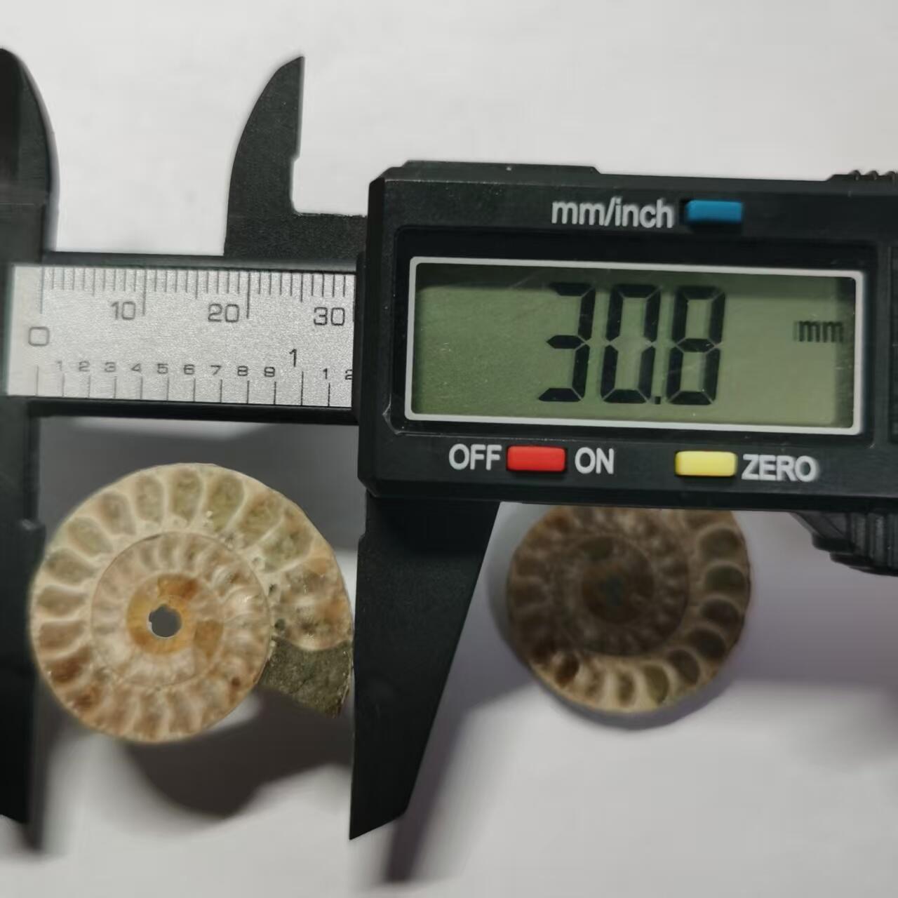 七河·世界币章水晶矿标化石杂件小拍（总第42期）（周一结标） 藏家出品X797（8）马达加斯加中生代菊石化石对开品 本件拍品由合作藏家负责邮寄