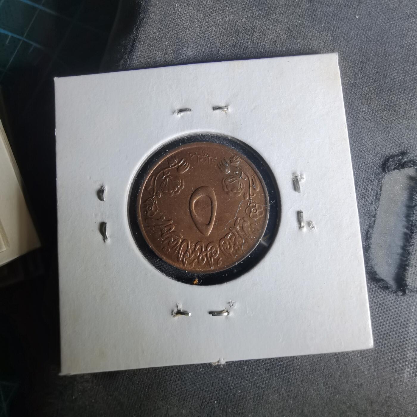 沼泽如烟--第1021场