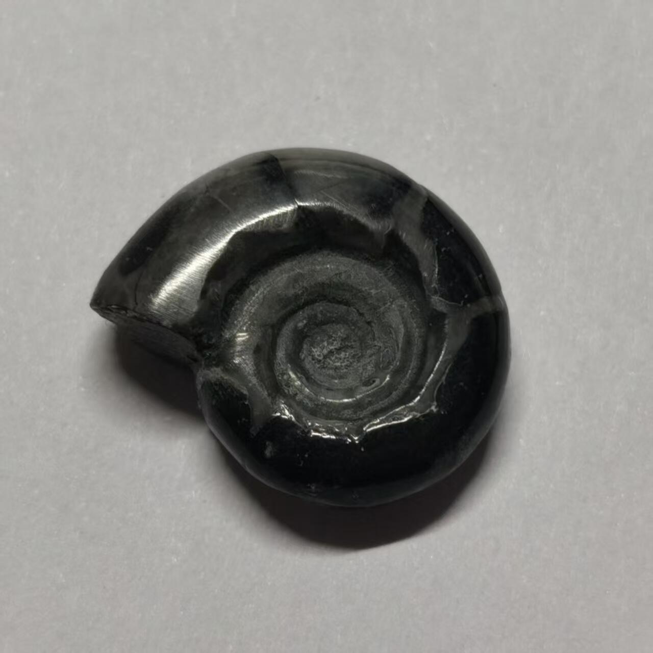 七河·世界币章水晶矿标化石杂件小拍（总第42期）（周一结标） 藏家出品X801（2）马达加斯加中生代菊石化石 本件拍品由合作藏家邮寄