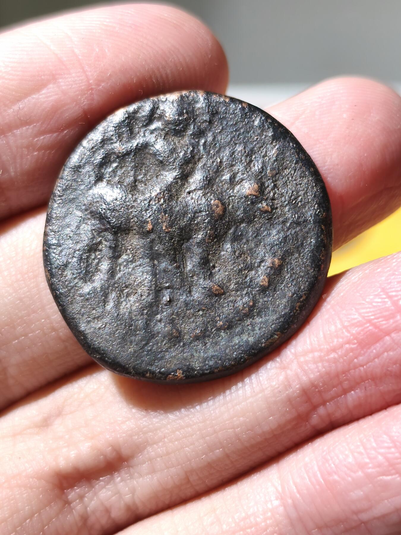 星盘世界钱币拍卖