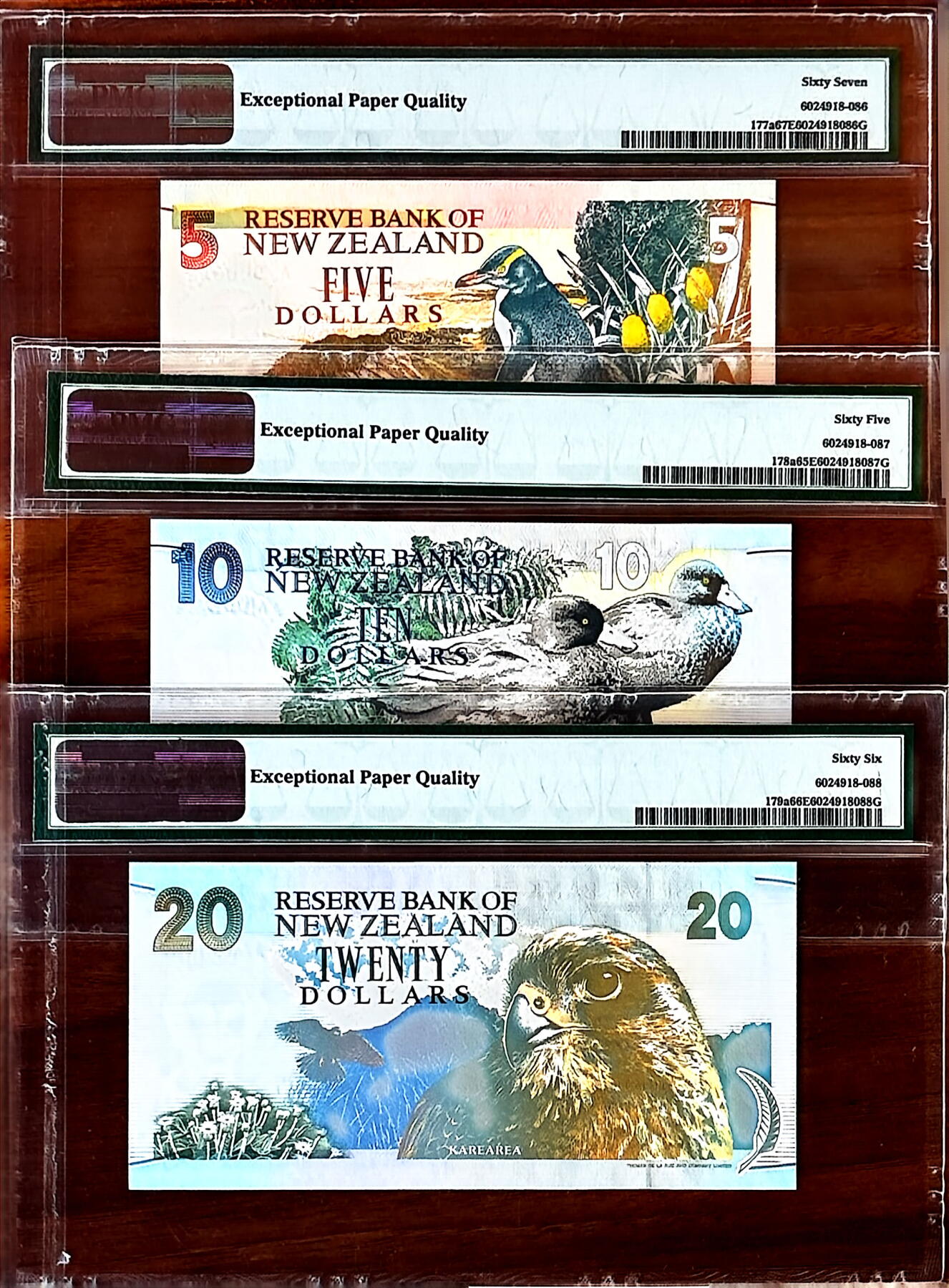 【Blue Auction】✨世界纸币精拍800期盛典——白金之夜🔥🔥🔥