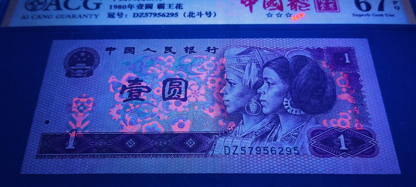 错印币801中国龙大花脸、花鼻子1张