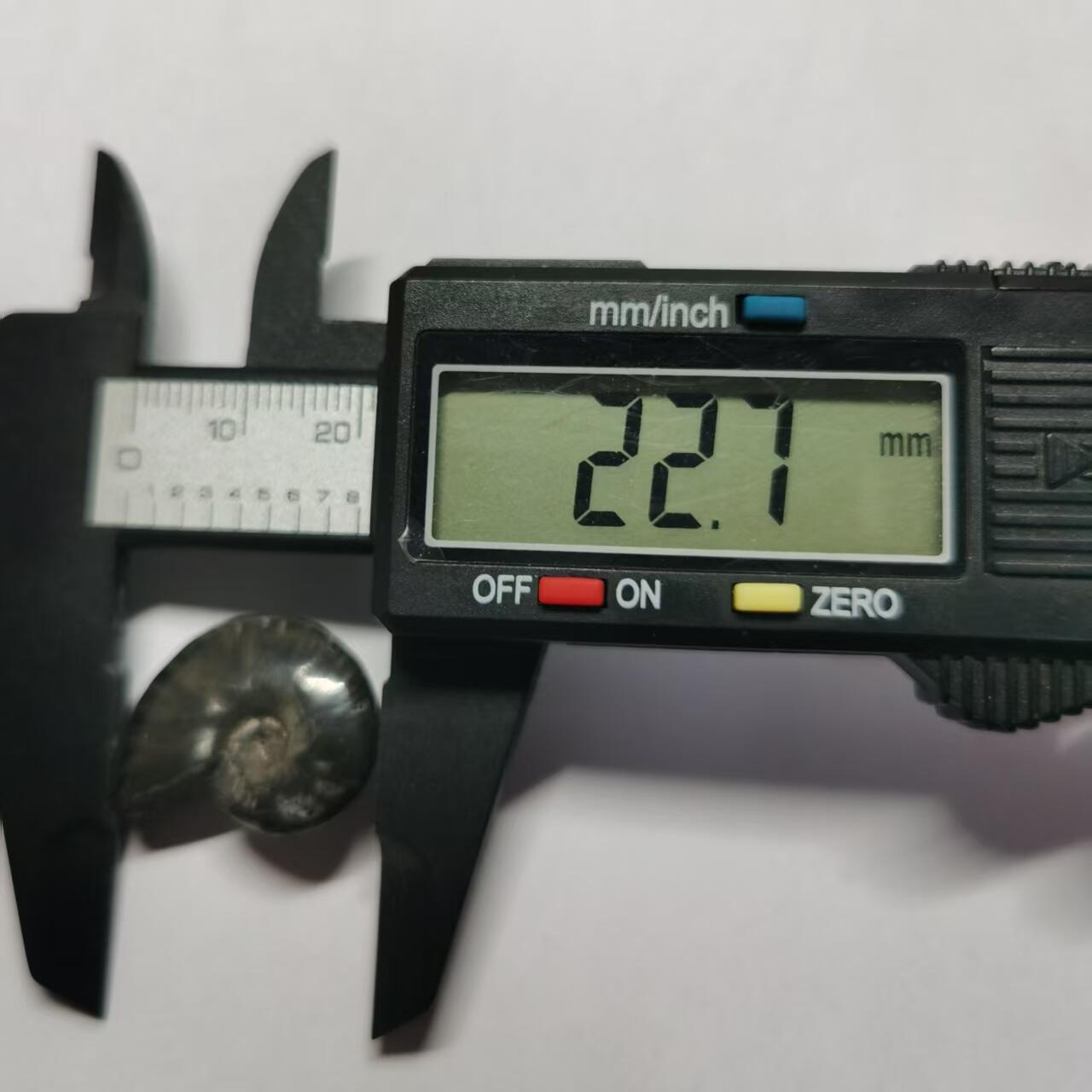 七河·世界币章水晶矿标化石杂件小拍（总第42期）（周一结标） 藏家出品X802（2）马达加斯加中生代菊石化石 本件拍品由合作藏家邮寄