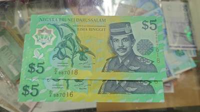 世界钱币～微拍第240期暨2026年第21期  部分尾货整理陆续低价起拍清仓 - 1996年文莱5林吉特 如图两张为一件 全新绝品无4