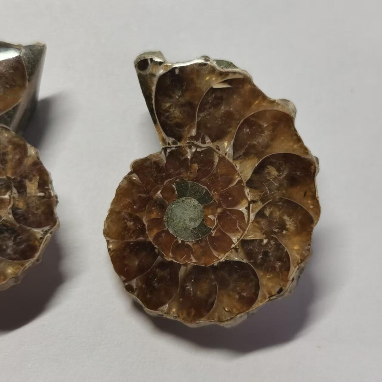 七河·世界币章水晶矿标化石杂件小拍（总第42期）（周一结标） 藏家出品X798（5）马达加斯加中生代菊石化石对开品 本件拍品由合作藏家负责邮寄