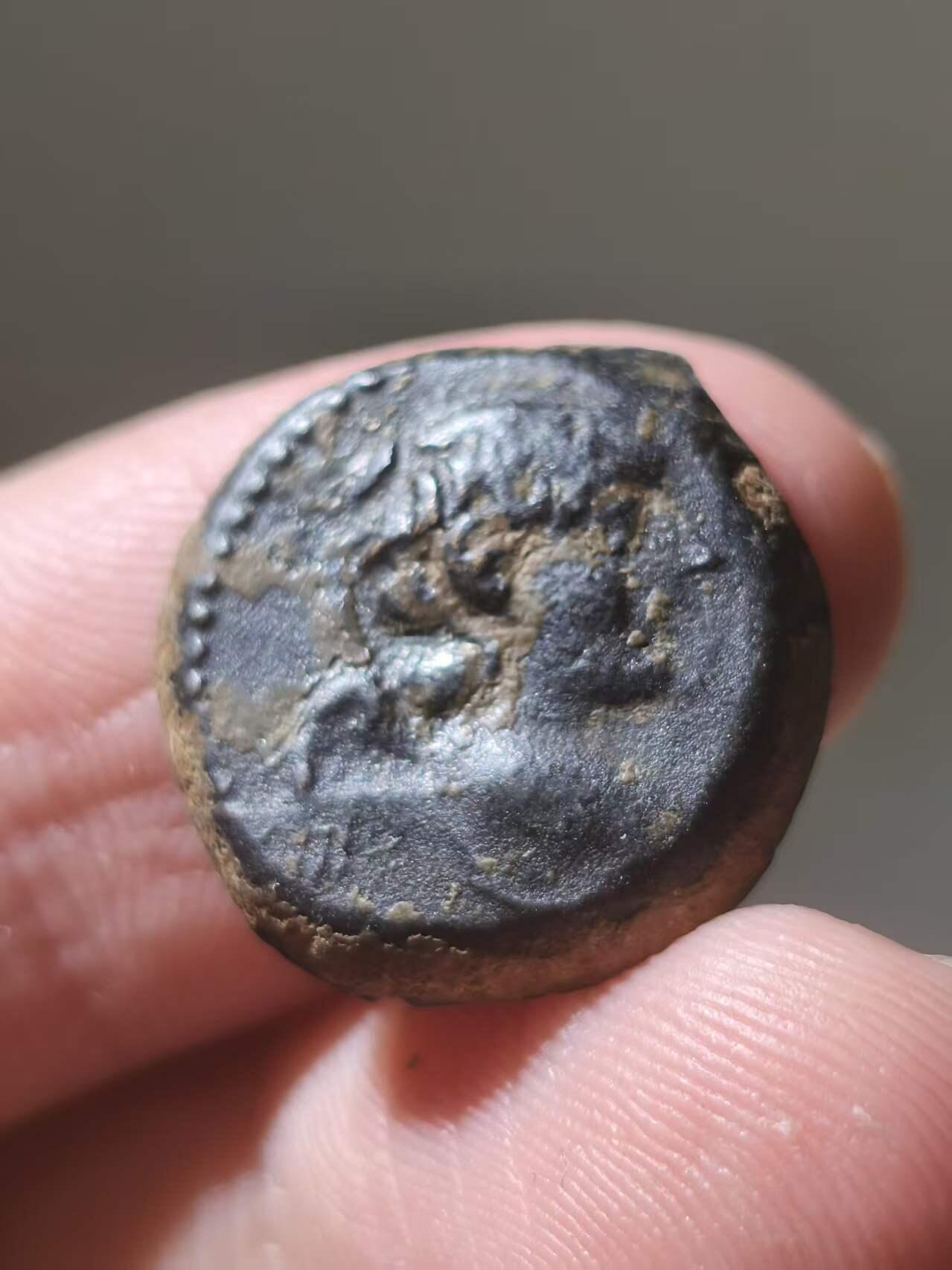 星盘世界钱币拍卖