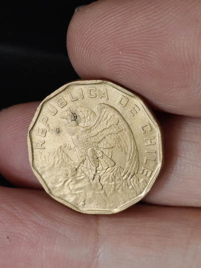 猩哥外币小铺➨【第221场】 - 智利