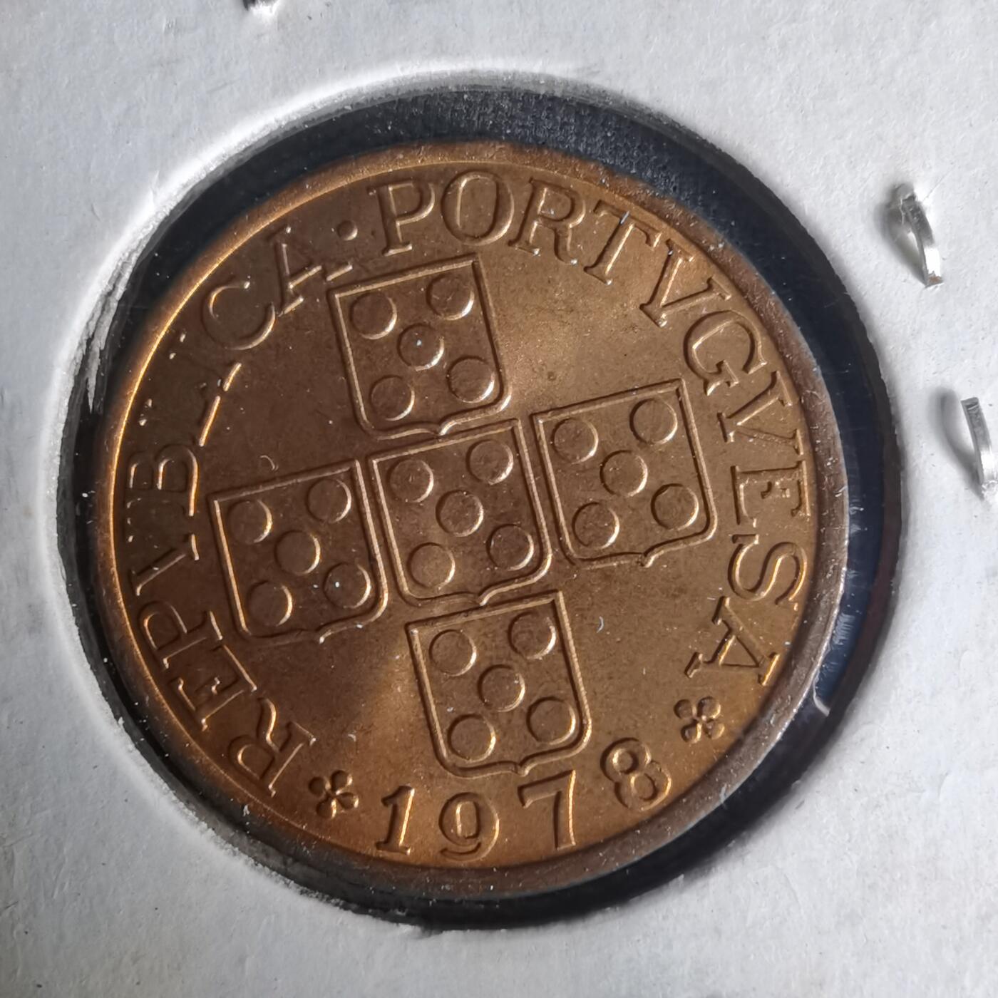 沼泽如烟--第1021场