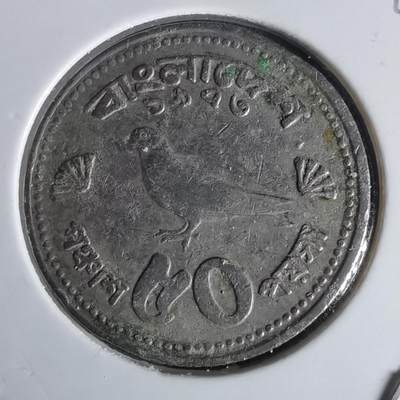 沼泽如烟--第1022场 - 孟加拉鸽子