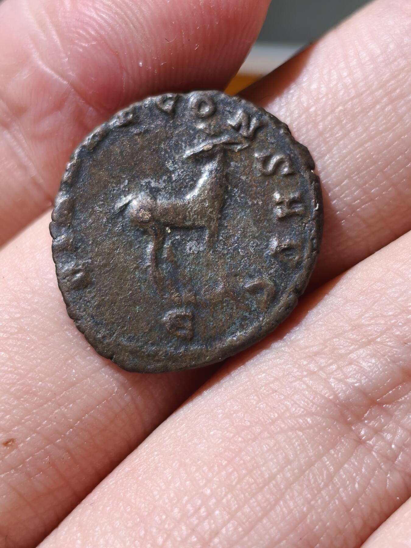 星盘世界钱币拍卖