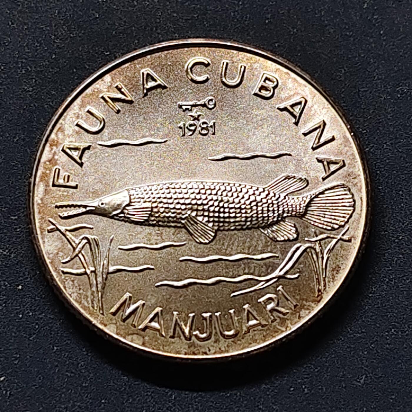 【全场包邮】纯粹捡漏拍513场 【少见】古巴1981年5比索动物系列雀鳝纪念银币【30毫米12克99.9%】-量5000