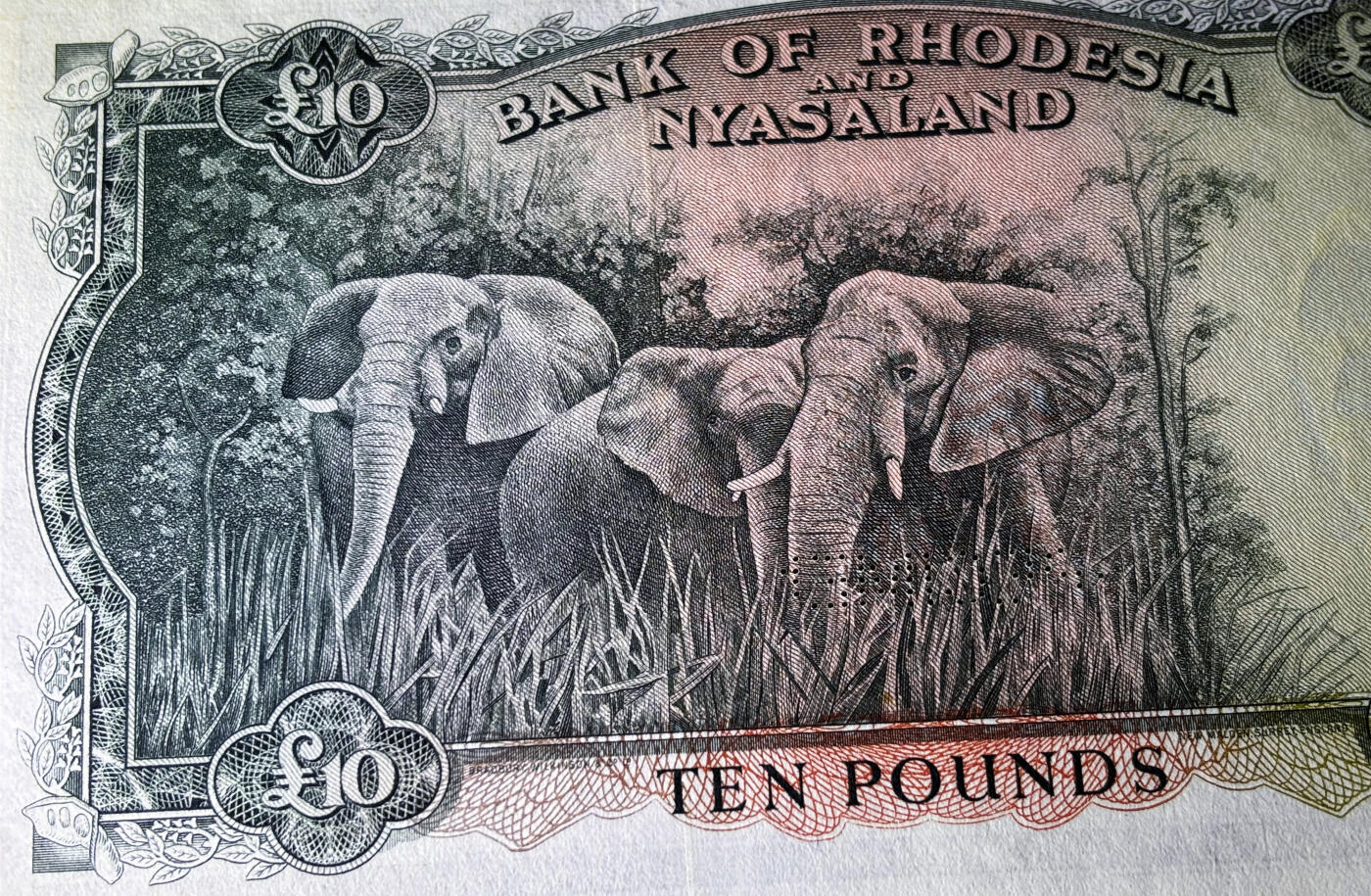 【Blue Auction】✨世界纸币精拍800期盛典——白金之夜🔥🔥🔥 R-【大珍 最高分仅64E 实钞没有全新存世】罗德西亚和尼亚萨兰 1956年10镑 大冠女王 该套最高值 BWC雕刻 油墨及凹凸感非常好 顶级品相（此钞堪称英联邦钞票中最具名气的一款，其高昂面额、珍罕程度及华美设计造就了非凡魅力。从最微小的正面狮子细节到背面的大幅象群雕刻充满非洲特色。全新品相可遇不可求，印钞管理者白边的签注没给E，实际就是原厂原票，两年前一张40分差品拍了4080美金）