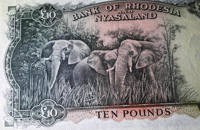 【Blue Auction】✨世界纸币精拍800期盛典——白金之夜🔥🔥🔥 R-【大珍 最高分仅64E 实钞没有全新存世】罗德西亚和尼亚萨兰 1956年10镑 大冠女王 该套最高值 BWC雕刻 油墨及凹凸感非常好 顶级品相（此钞堪称英联邦钞票中最具名气的一款，其高昂面额、珍罕程度及华美设计造就了非凡魅力。从最微小的正面狮子细节到背面的大幅象群雕刻充满非洲特色。全新品相可遇不可求，印钞管理者白边的签注没给E，实际就是原厂原票，两年前一张40分差品拍了4080美金）