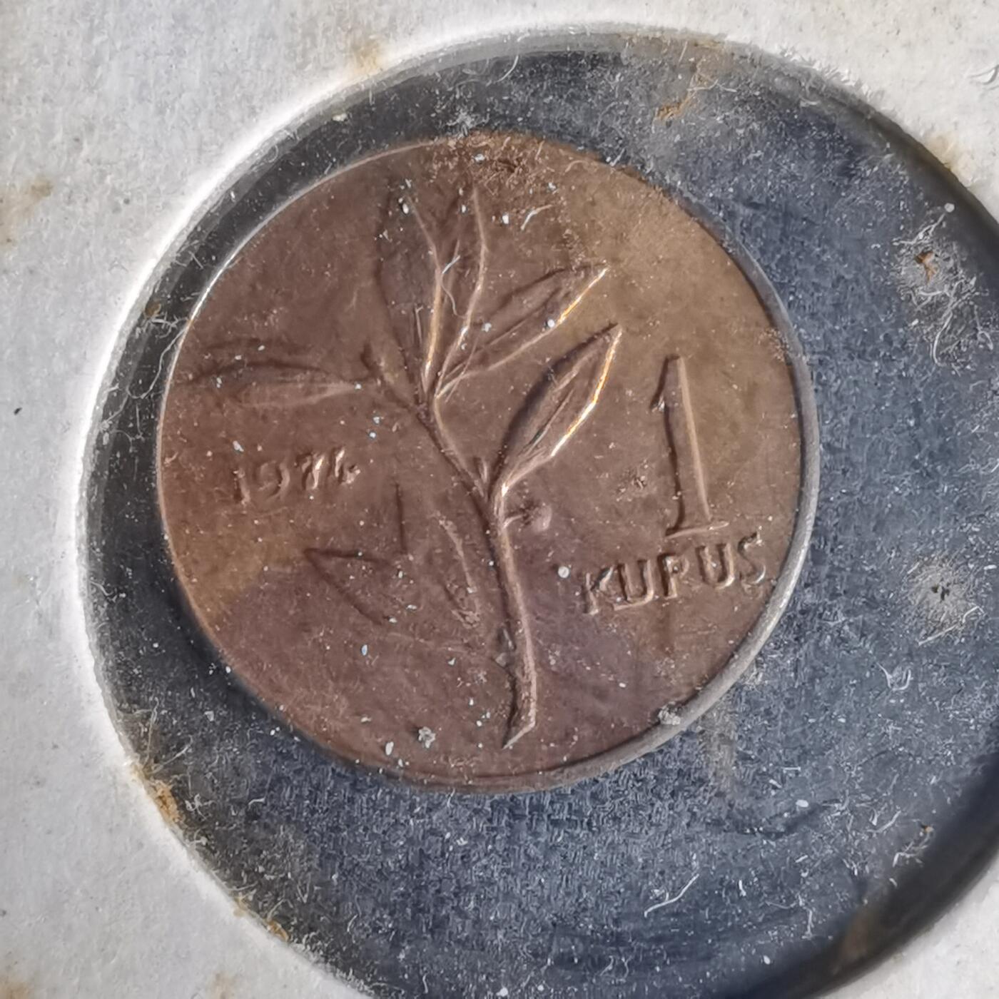 沼泽如烟--第1021场