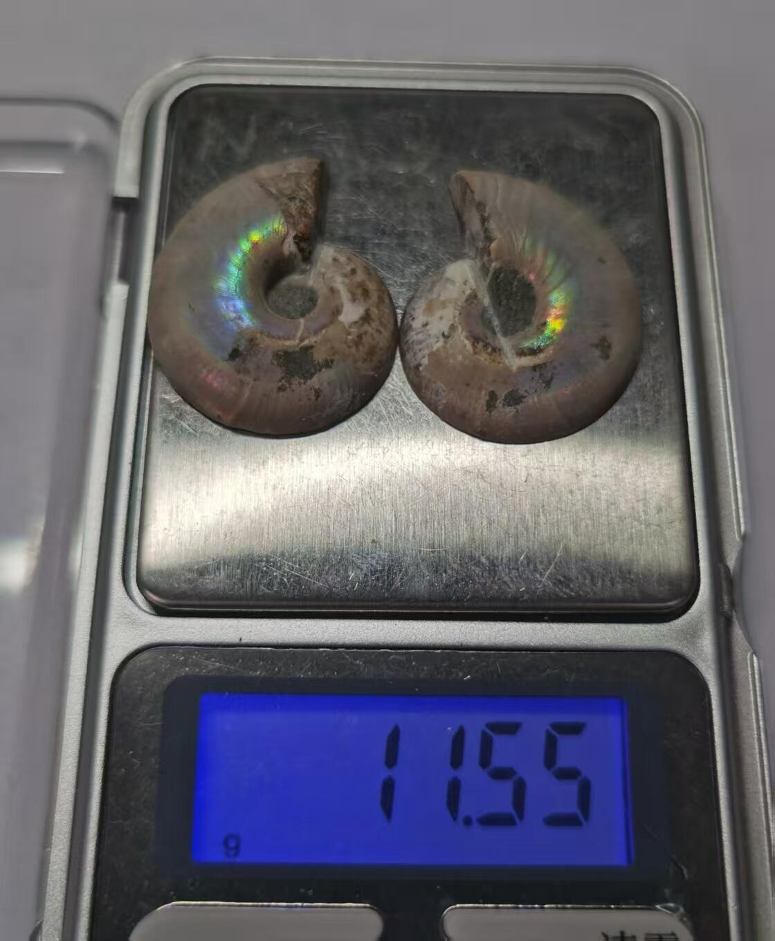 七河·世界币章水晶矿标化石杂件小拍（总第42期）（周一结标） 藏家出品X790（8）马达加斯加中生代菊石化石对开品 本件拍品由合作藏家负责邮寄