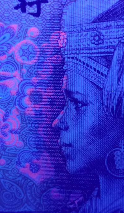 错印币801中国龙大花脸、花鼻子1张