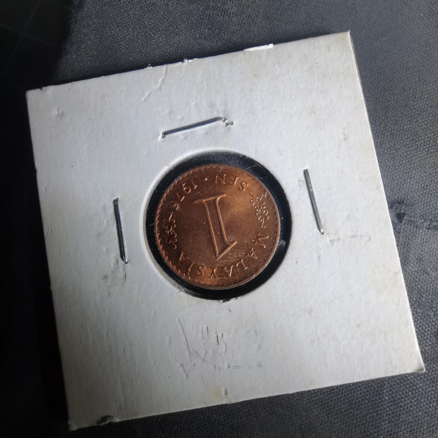 沼泽如烟--第1021场