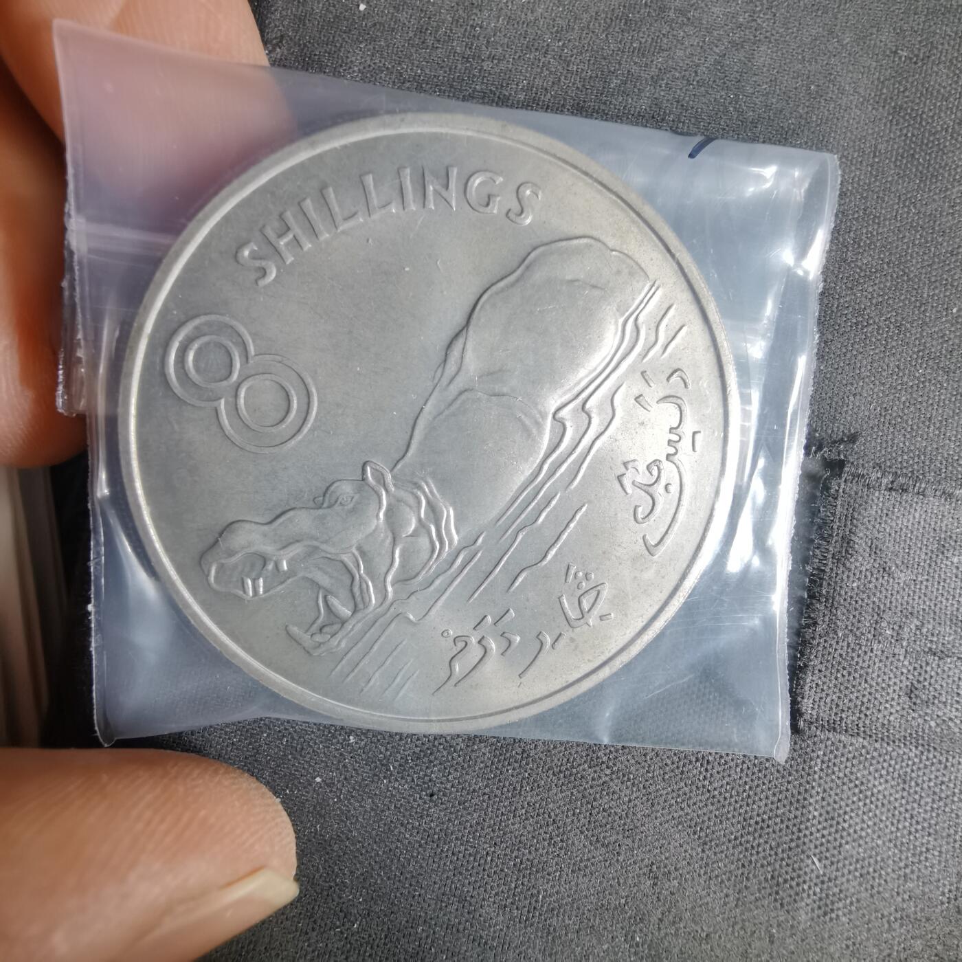 沼泽如烟--第1022场 冈比亚1970年8先令