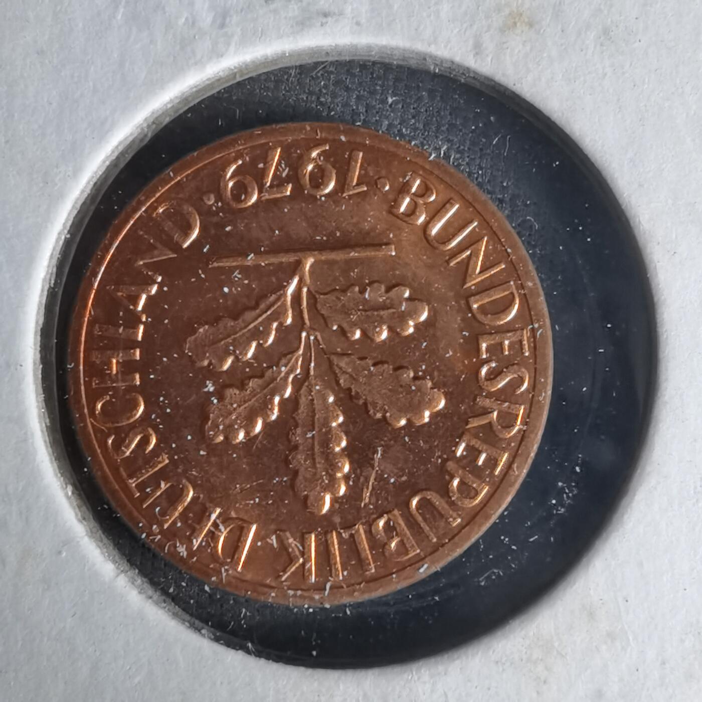 沼泽如烟--第1021场