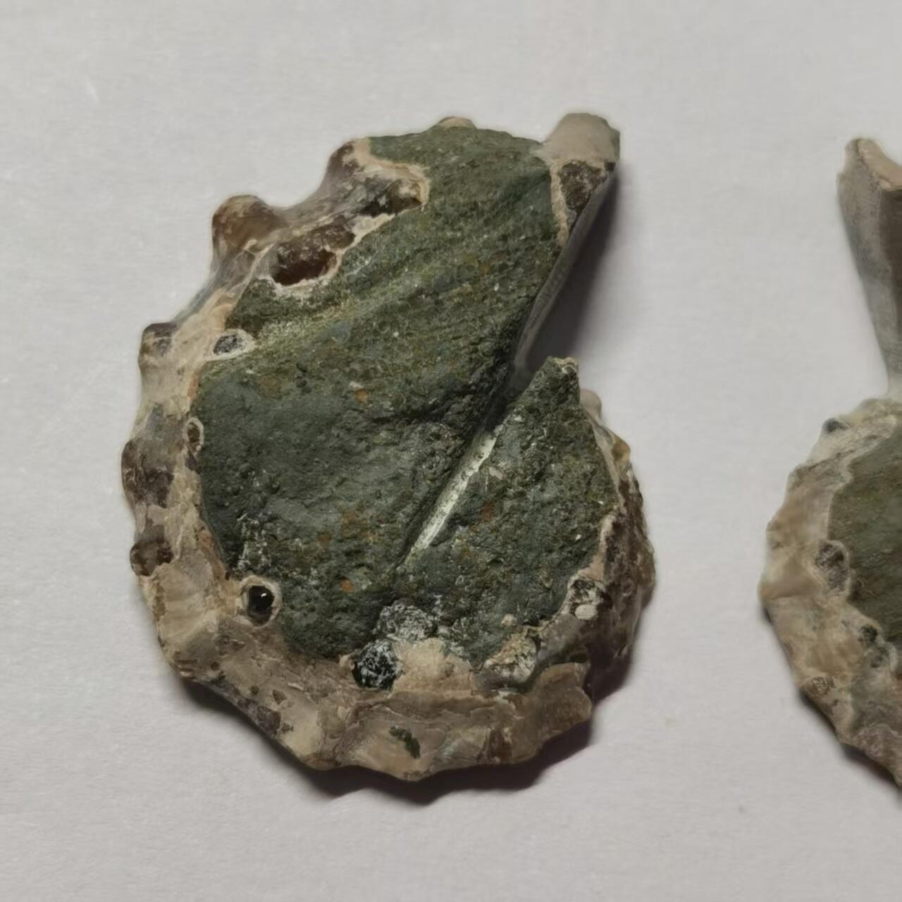 七河·世界币章水晶矿标化石杂件小拍（总第42期）（周一结标） 藏家出品X798（5）马达加斯加中生代菊石化石对开品 本件拍品由合作藏家负责邮寄