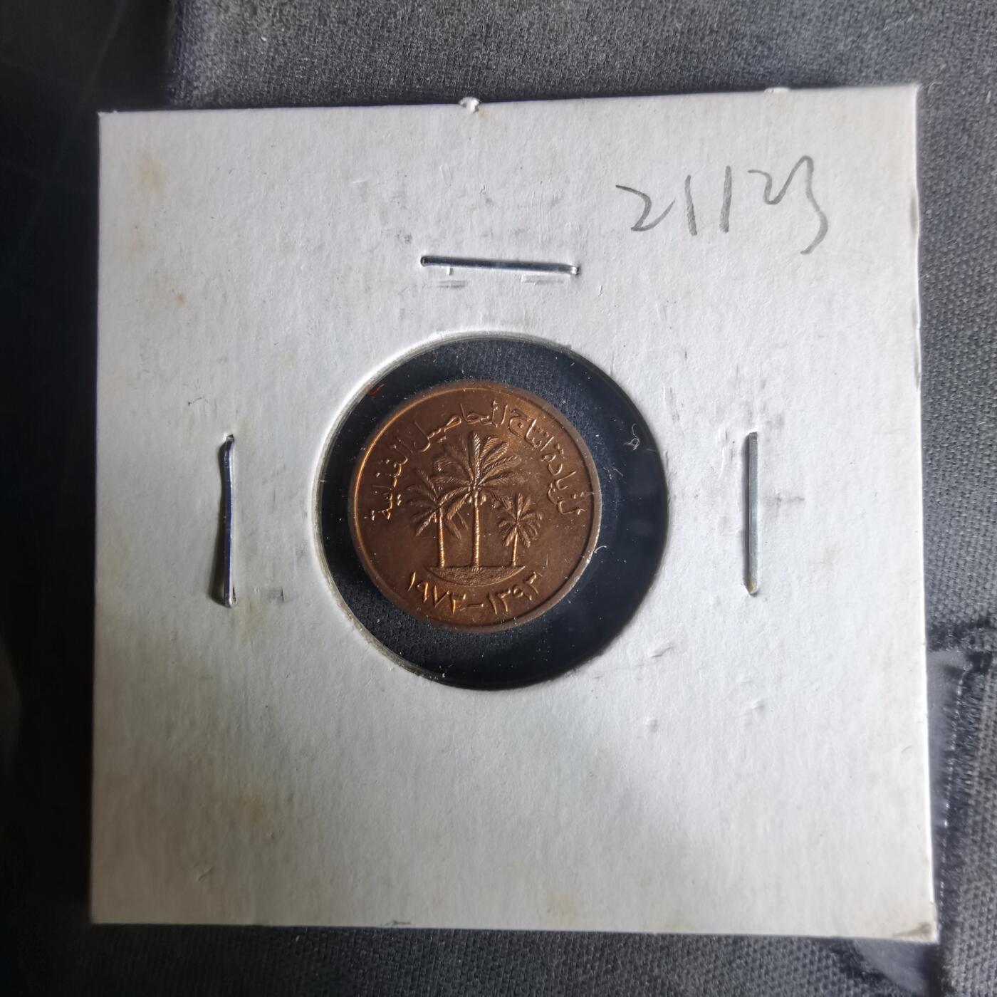 沼泽如烟--第1021场