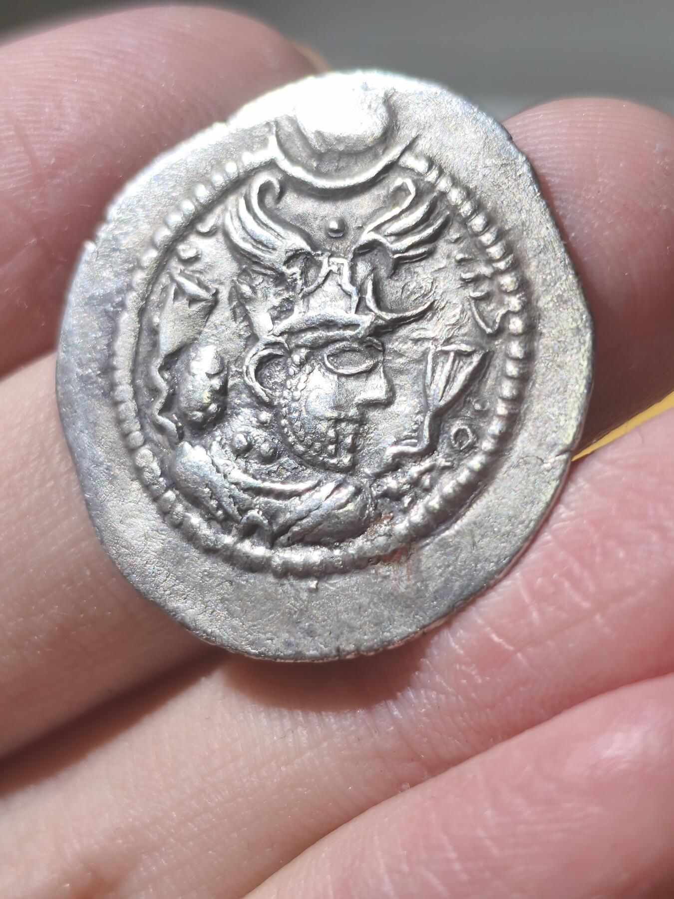 星盘世界钱币拍卖