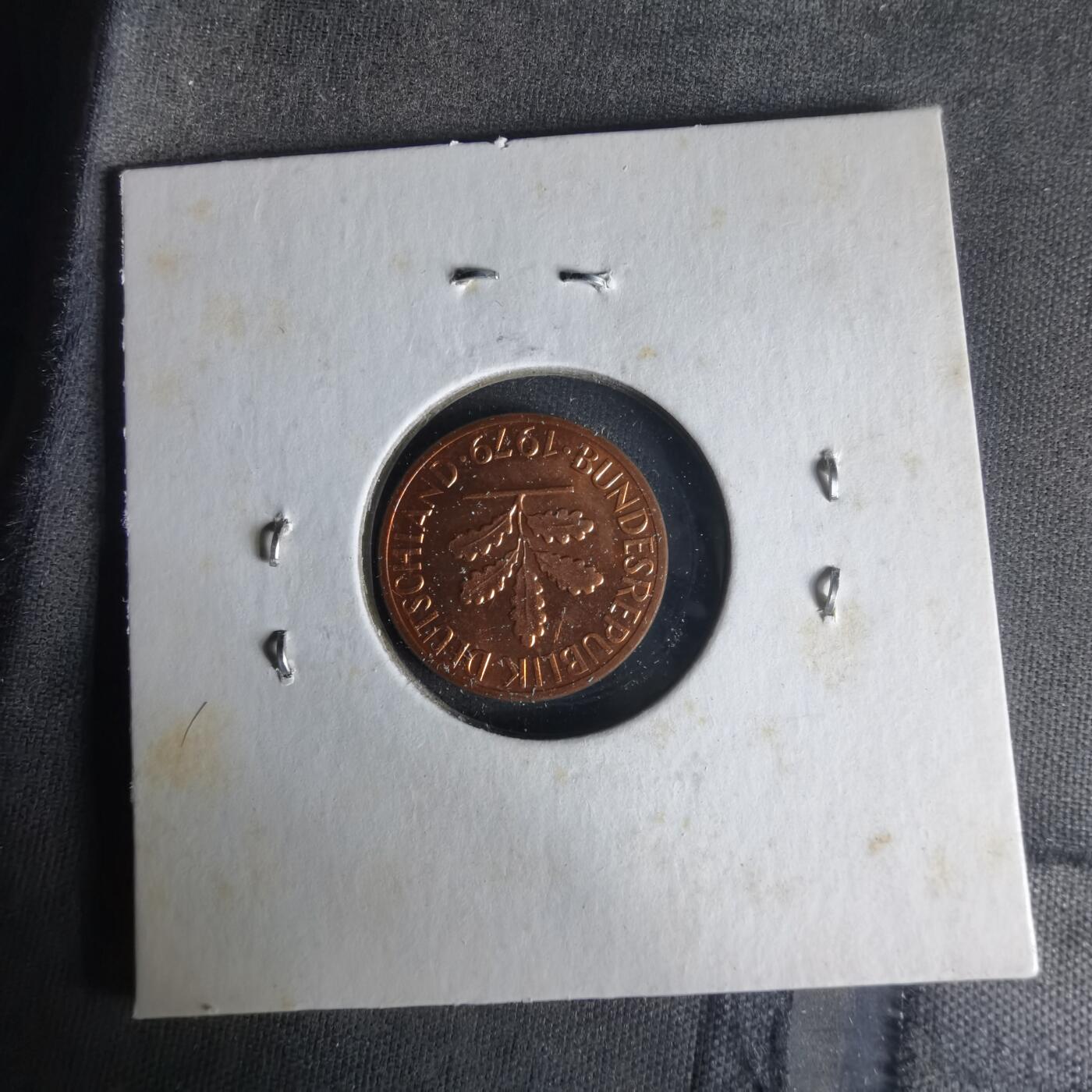 沼泽如烟--第1021场