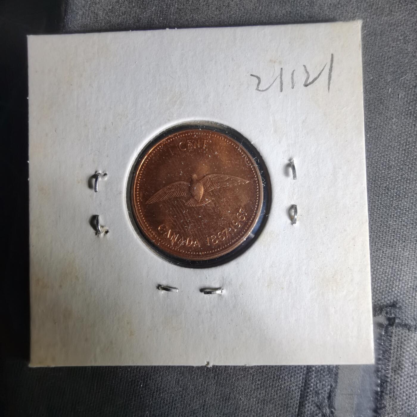 沼泽如烟--第1021场