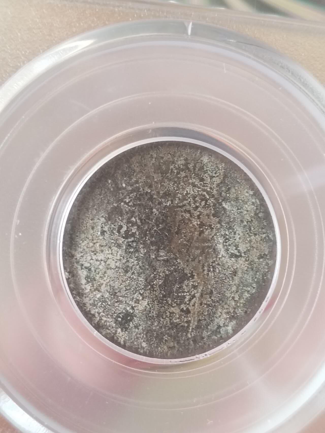 评级币 硬币 纪念币