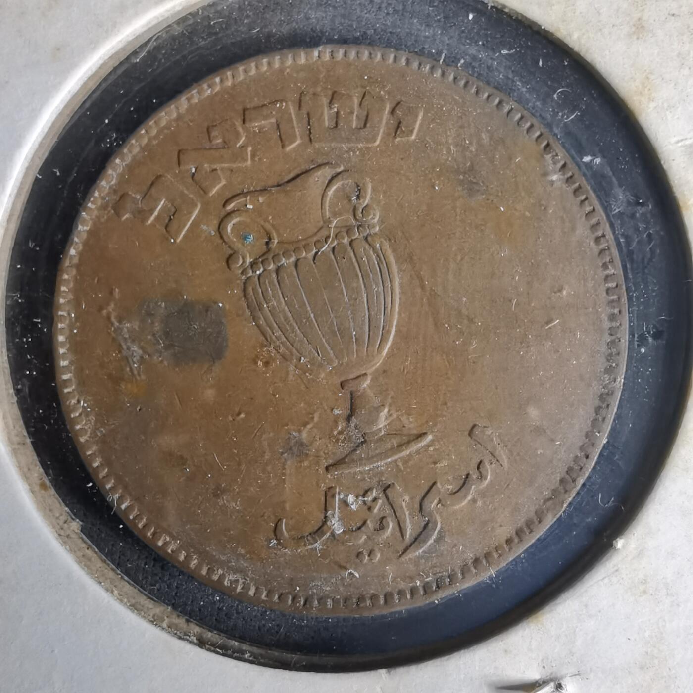 沼泽如烟--第1021场