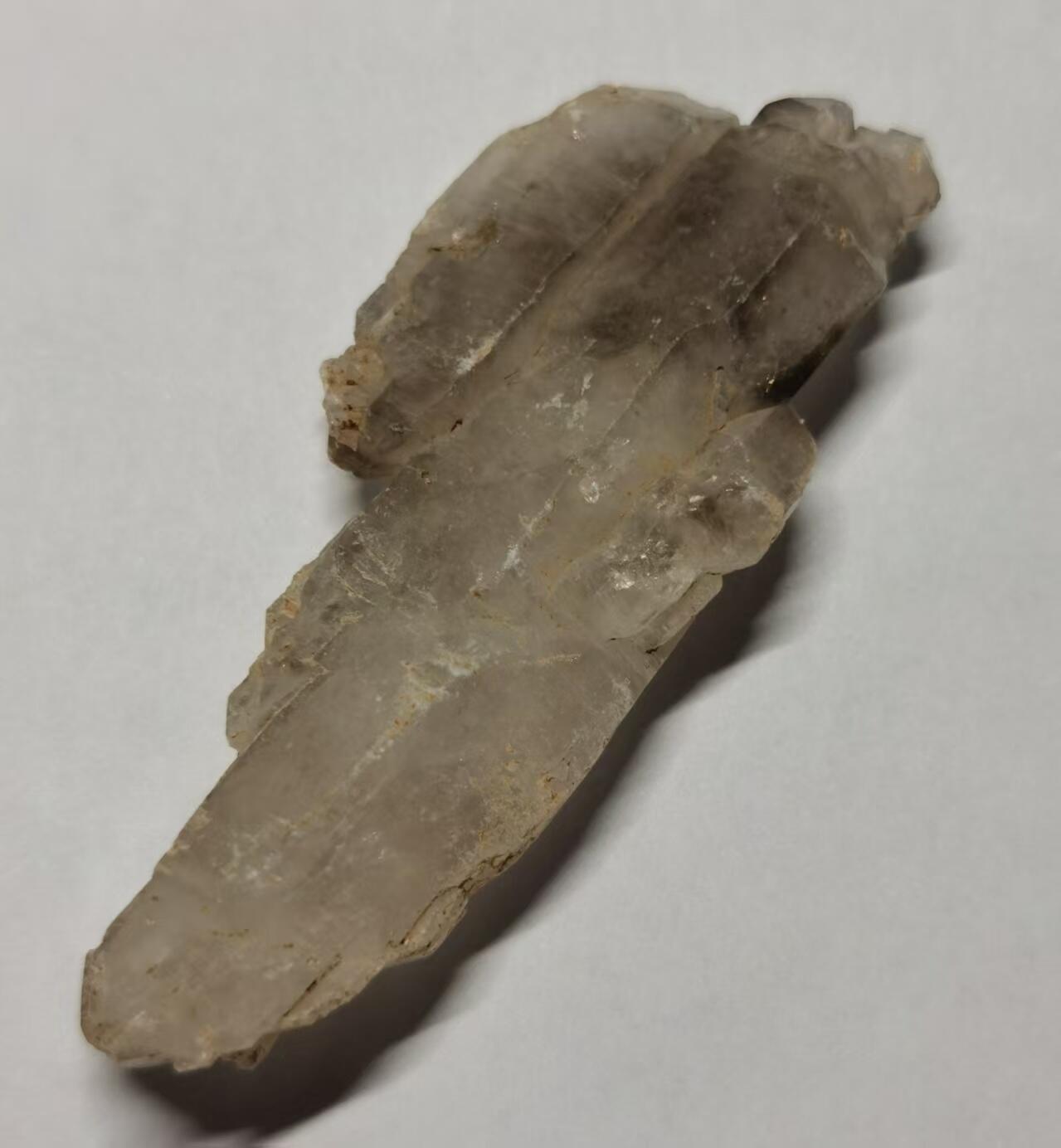 七河·世界币章水晶矿标化石杂件小拍（总第42期）（周一结标）