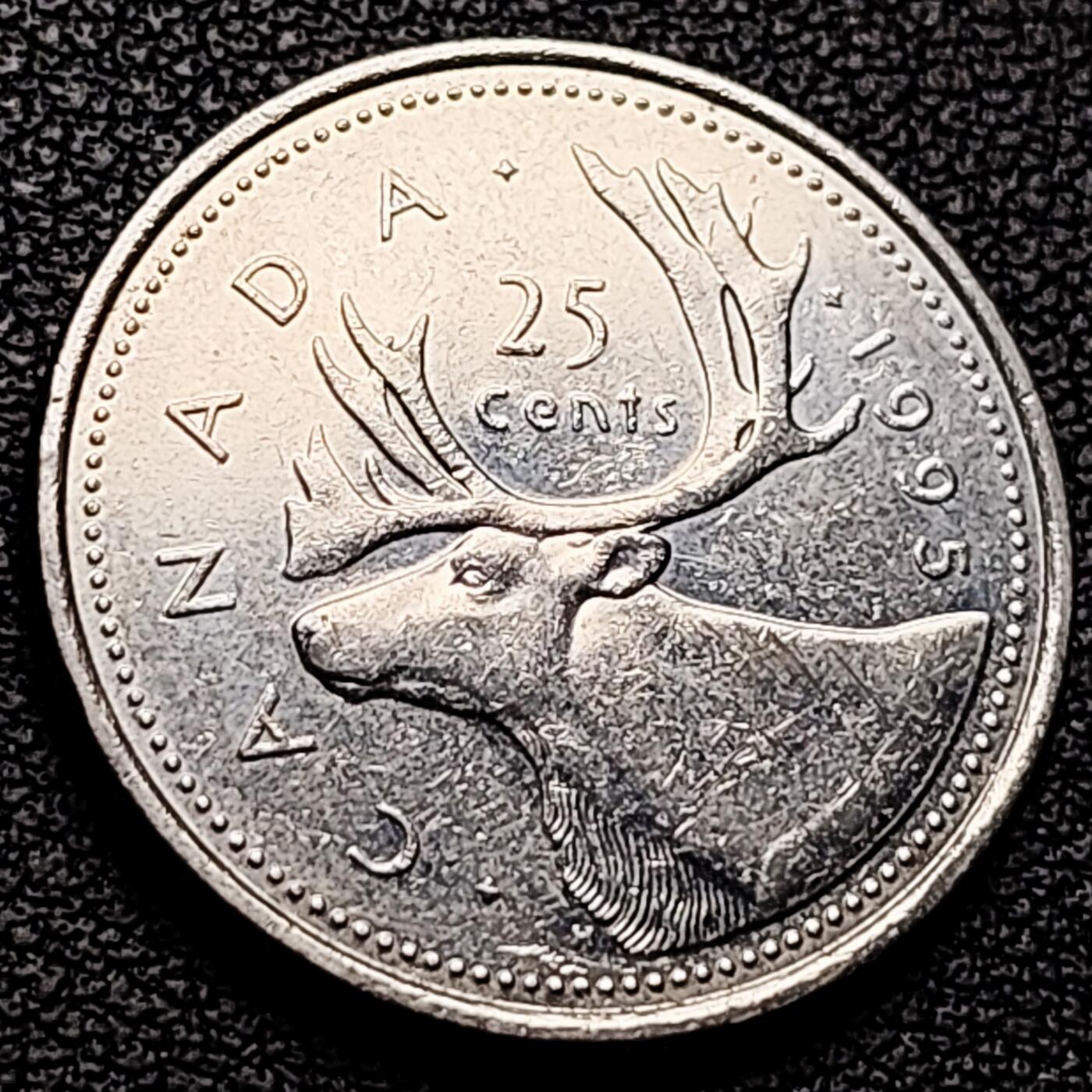 泉币菌-第209场-拍品多 请提前出价 。