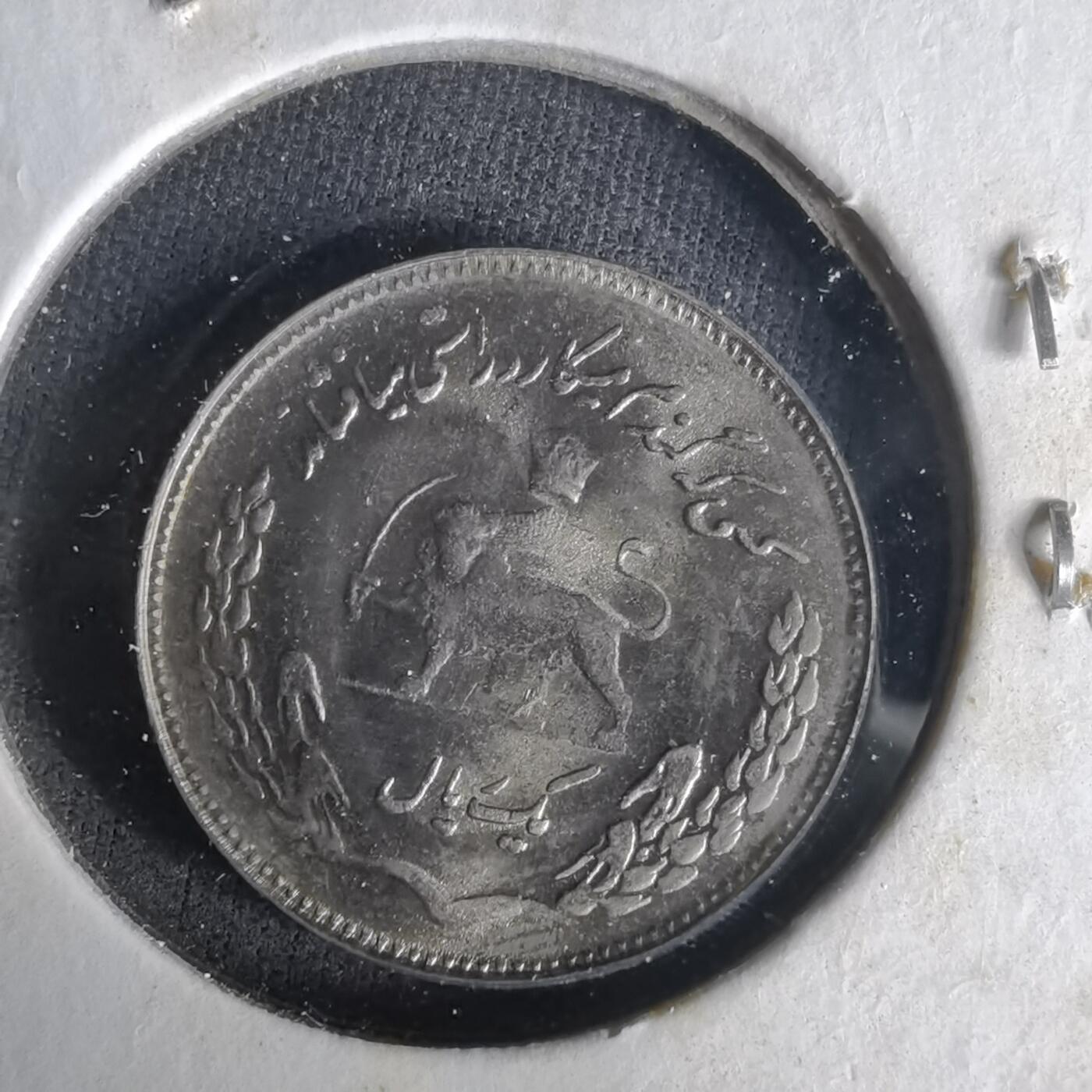 沼泽如烟--第1021场