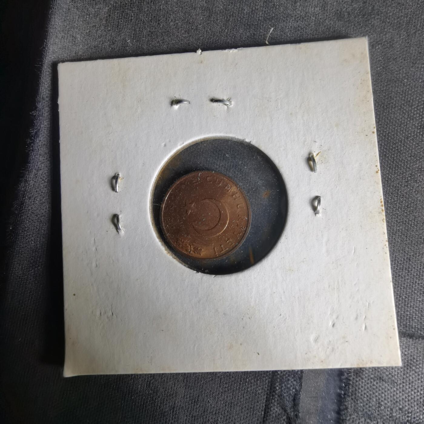 沼泽如烟--第1021场