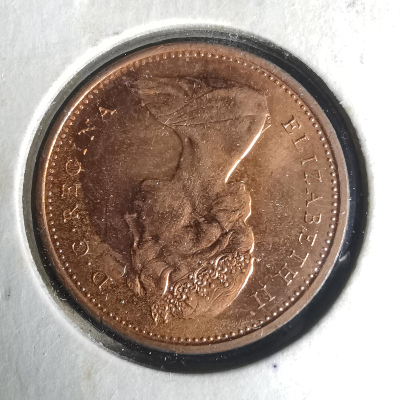 沼泽如烟--第1021场