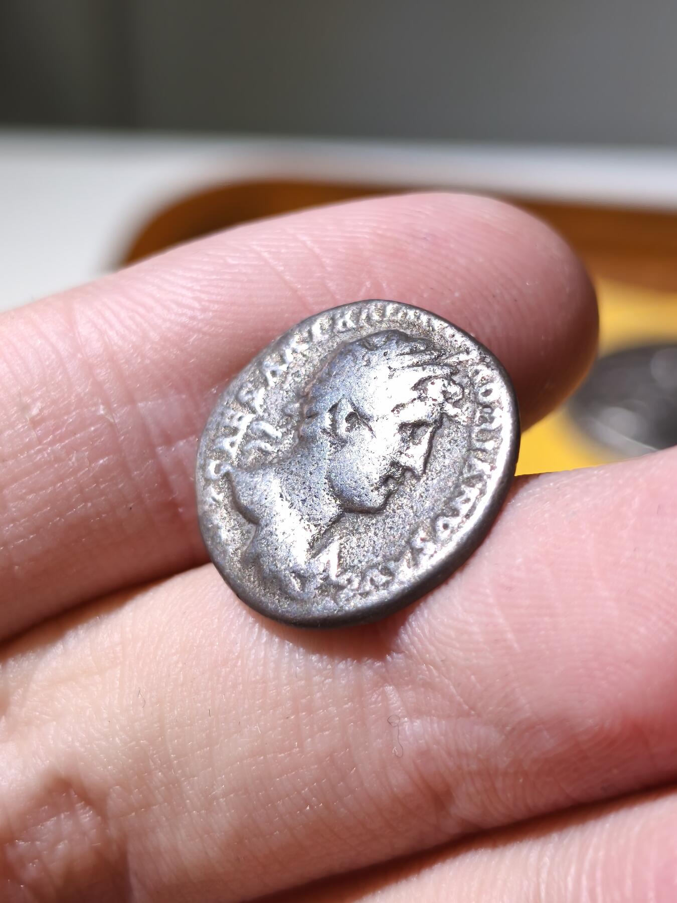 星盘世界钱币拍卖