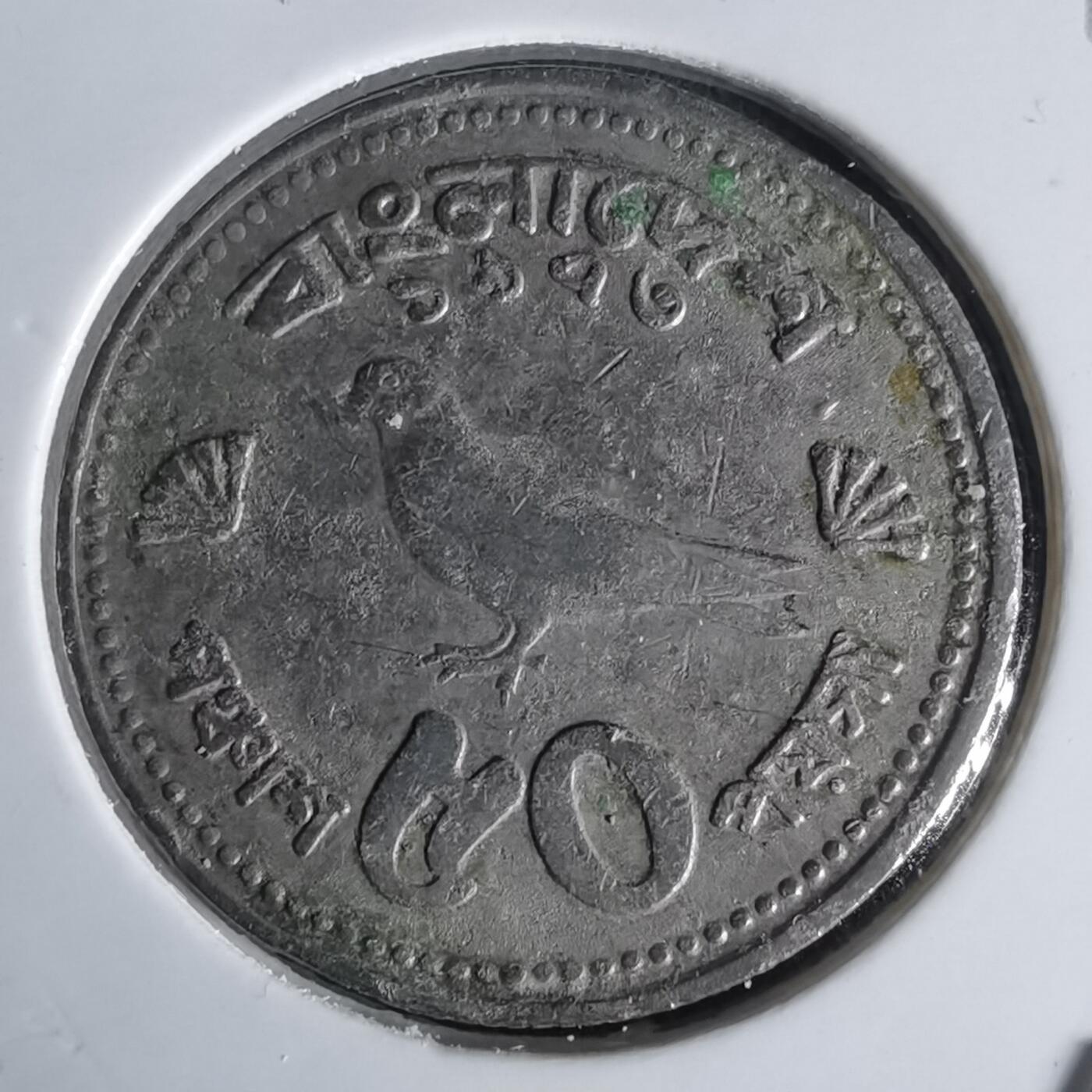 沼泽如烟--第1022场 孟加拉鸽子