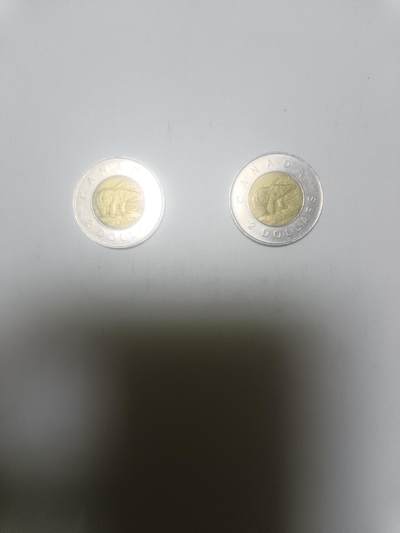 【20260317】非全新纸币和硬币第346场 - 加拿大2加元2枚硬币，汇率价约为20元