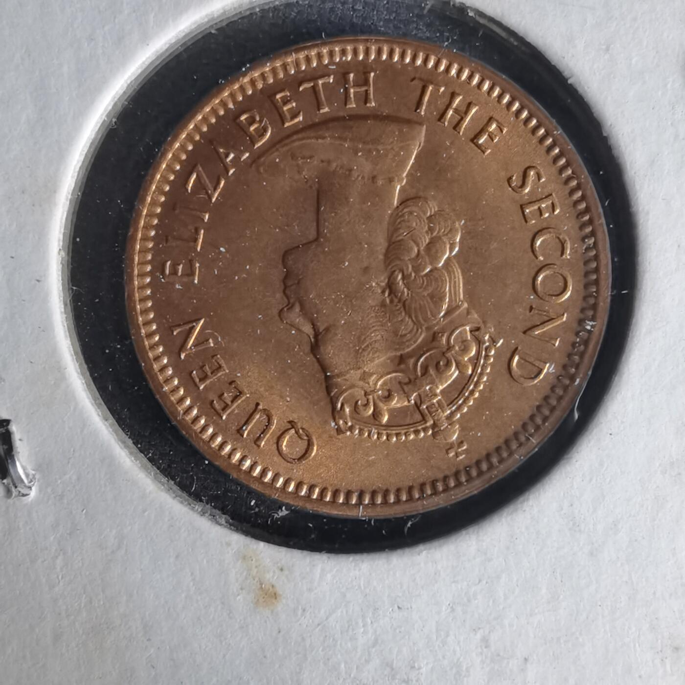 沼泽如烟--第1021场