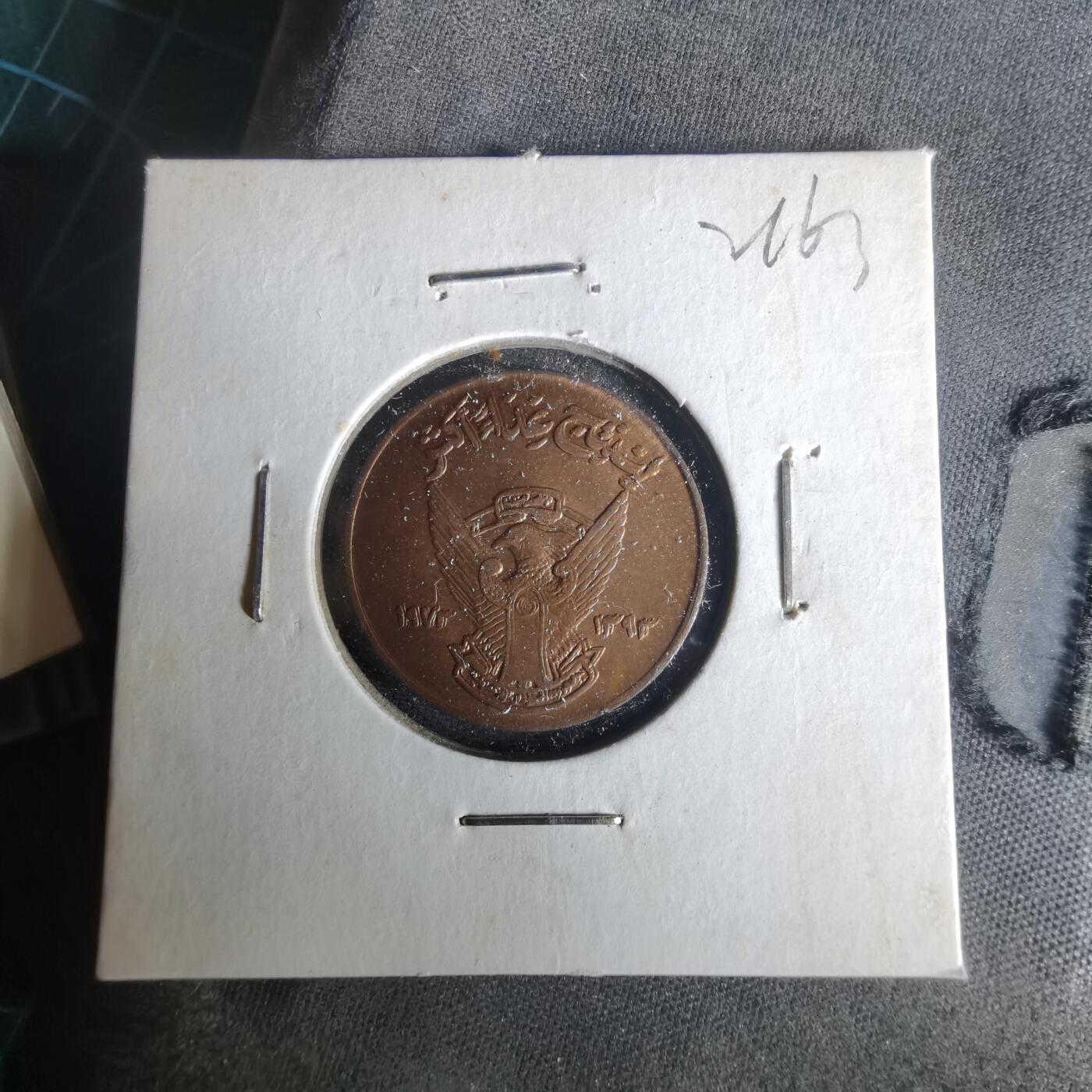 沼泽如烟--第1021场