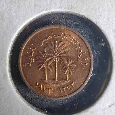 沼泽如烟--第1021场 - 阿联酋