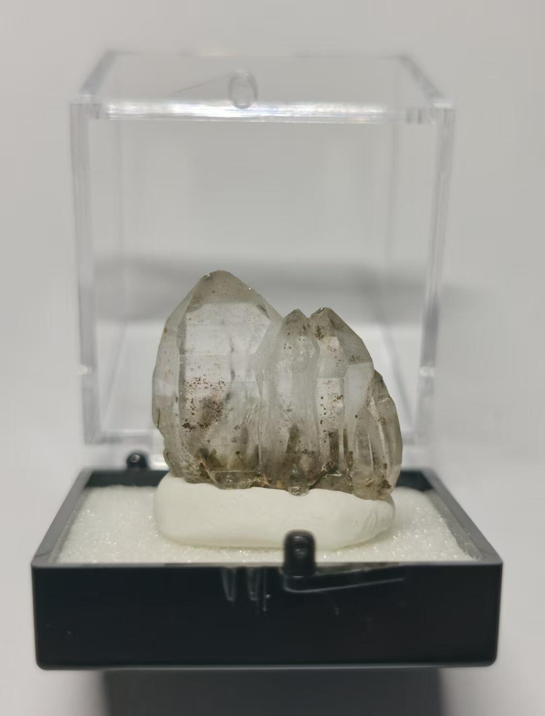 七河·世界币章水晶矿标化石杂件小拍（总第42期）（周一结标）